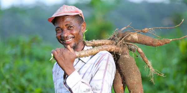 Farmers in Cameroon are overcoming drought with the help of new seeds